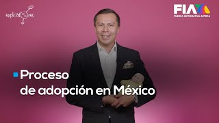 #Explicadores | ¿Cómo conseguir una certificación como persona apta para adoptar un menor en México?