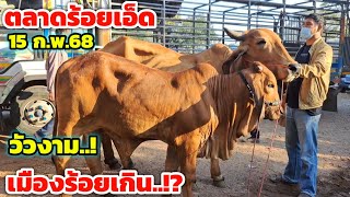 พาชม‼️ ตลาดนัดร้อยเอ็ด 15 ก.พ.68 วัวงาม น่าเลี้ยง ของดี‼️ เมืองร้อยเกิน...