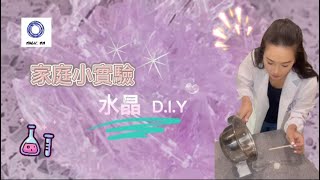 家庭小實驗: 水晶實驗 Family Experiment: Home Plant Crystal