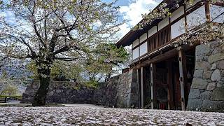 [日本旅遊] 長野縣 賞櫻必去  松代町 日本百名城之一 松代城跡