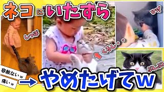 【2ch動物スレ】子供のイタズラの被害にあうネコｗｗｗ