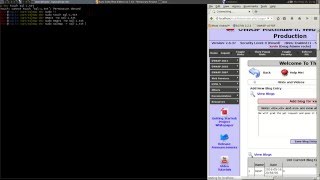OWASP Multidae 2 Tutorials - 2013 - SQL INSERT Injection