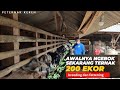 Cara Pak Yusuf kelola Kambing 30 ekor dalam 2 tahun bertambah jadi 200