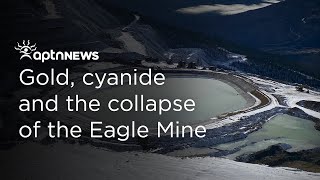 Gold, cyanide and the collapse of the Eagle Mine in Yukon | APTN News