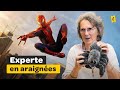 Une Arachnologue décrypte les araignées dans les films ! (Spider-Man, Harry Potter...)