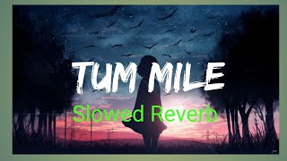 Tum Mile [Slowed Reverb] - Javed Ali Textaudio Lyrics