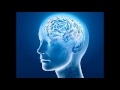 Erection - Isochronic Tones - Brainwave Entrainment Meditation Erection - Isochronic Tones - Brainwave Entrainment Meditation