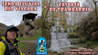 [ 2,7 K ] Senda fluvial río Viacaba ( Cabranes) y Cascada de Trambarria ( Piloña). Diciembre 2023