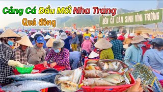 Tấp Nập Mua Bán Hải Sản Cảng Sông Cửa Bé | Tâm Sự Của Tiểu Thương Chợ Bình Tân