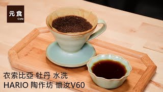 HARIO 陶作坊 懷汝V60濾杯-衣索比亞 牡丹 水洗-元食咖啡 -HARIO PORCELAIN V60 DRIPPER-Ethiopia Guji Hambella Buku Able -