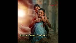 අම්මා.......(ලොව සියලු මව්වරුන් හට තෙරුවන්  සරනයි!)