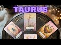 TAURUS 💌✨,🤭THEY CAN'T PRETEND ANYMORE❗️ NO ESCAPE FROM HOW MUCH THEY LOVE YOU🥹❤️NOVEMBER LOVE ✨