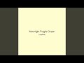 Moonlight Fragile Ocean