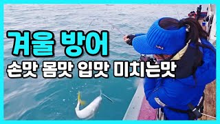 방어지깅 손맛 몸맛 입맛까지 겨울낚시 로 이만한게 없어요! 녹동샤크호 #방어낚시#방어먹방