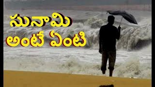 సునామి ఎలా వస్తుంది సునామీకి వుప్పేనకి తేడ ఏంటి  |Unknown Facts in telug|interesting facts in telugu