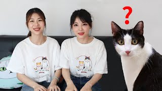 家里突然换铲屎官，猫能认出来吗?｜花花与三猫 Cat Live