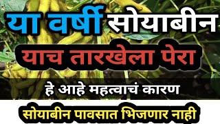 सोयाबीन पेरणी साठी महत्वाच्या तारखा सोयाबीन काढणीसाठी पावसात येत नाही व नुकसान होत नाही🙏