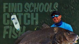 Pro Guide Reveals How to Find \u0026 Catch HUGE Schools Of Redfish \u0026 Black Drum