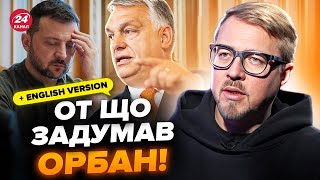 😳ТИЗЕНГАУЗЕН: Орбан шокировал Зеленского! Вот зачем НА САМОМ ДЕЛЕ был в Киеве. Разбор @TIZENGAUZEN