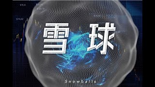 “雪球产品爆仓”是咋回事？