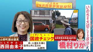 01命を大切にする政治へ～私たちは日米軍地演習に反対しています～