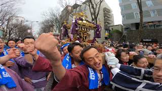 31年　　明治神宮 建国記念の日   (  神輿  ) 奉祝パレード 　迫力満点です。