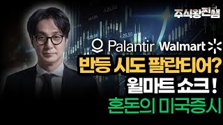 팔란티어 반등시도? 월마트 쇼크! 혼돈의 미국증시 [글로벌투자의 정석]