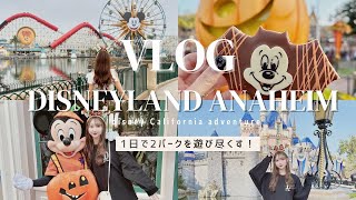 【disney Vlog】カリフォルニアディズニー基本まとめ！1日で遊び尽くす海外ディズニーのハロウィーン！アナハイム・カリフォルニアアドベンチャー/ディズニー100周年