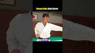 The practical application of Kata【Budo Karate】