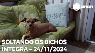 Soltando os Bichos - 24/11/2024