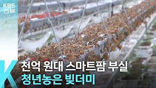 [심층K] 1,000억대 김제 스마트팜 부실 공사…빚더미 오른 청년농들 / KBS  2024.08.21.