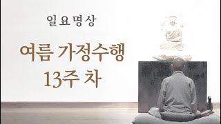 여름 가정수행 13주 차ㅣ일요명상ㅣ제따와나선원 2021.08.22