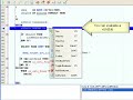 How to use a Oracle PL SQL debugger