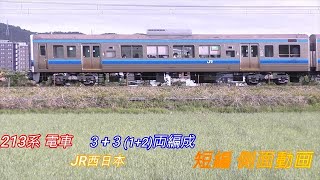 JR西日本　213系　３+３ (1+2) 両編成　短編側面動画