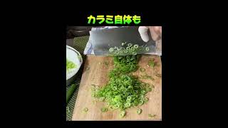 青ネギ薬味作りの切り付け動画・料理をワンランク上げてくれます