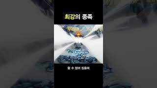 원피스) 최강의 종족