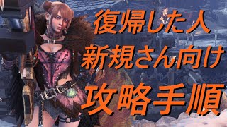 【MHW;IB】復帰した人や新規さんを応援したい動画ッ！攻略チャート付き