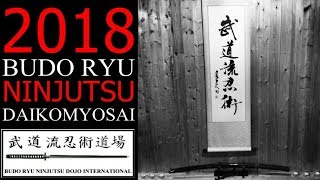 2018 Budo Ryu Ninjutsu Daikomyosai | Ninja, Martial Arts, Ninpo