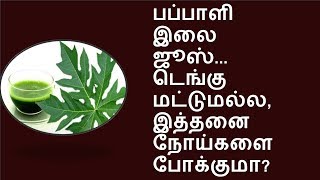 பப்பாளி இலை  போக்கும் நோய்கள்... pappaya leaf  juice