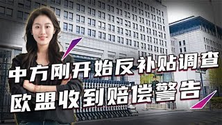 中方刚开始反补贴调查，爱尔兰踩刹车，欧盟收到赔偿警告