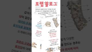 [포랩 재활운동센터] 목에 담이 걸렸다구요? 이대로 푹 쉬면 안 낫습니다! 운동을 통해 건강한 목, 건강한 움직임을 회복해봅시다!