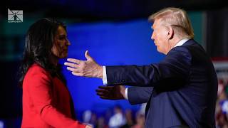 Tulsi Gabbard backs Trump after intelligence official resigns over Iran war