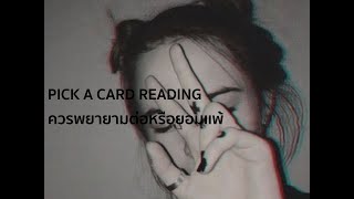 Pick A Card Reading ver 37 ควรพยายามต่อหรือยอมเเพ้