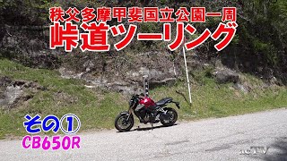 CB650Rでツーリング・秩父多摩甲斐国立公園一周峠道ツーリング①【バイクでワインディング・ツーリング・モトブログ】