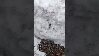 雪にロケット花火を発射する