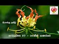 மாவீரன் தியாகி திலீபன் நினைவு பாடல்கள் பாகம் 2