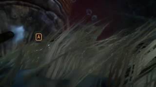 Far Cry Primal Wenja Welcome