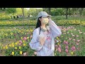 作業用bgm 軽やかで心地よい音楽🎶今日の美しい旅を始めましょう chill vibes