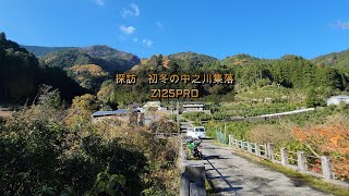 初冬の中之川集落　晴天の青空と紅葉に癒される旅　Z125PRO（説明欄にコースガイドあり）