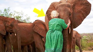 Elephants Would Form an Orderly Line to Embrace Her,The Cause That Rendered Everyone Speechless